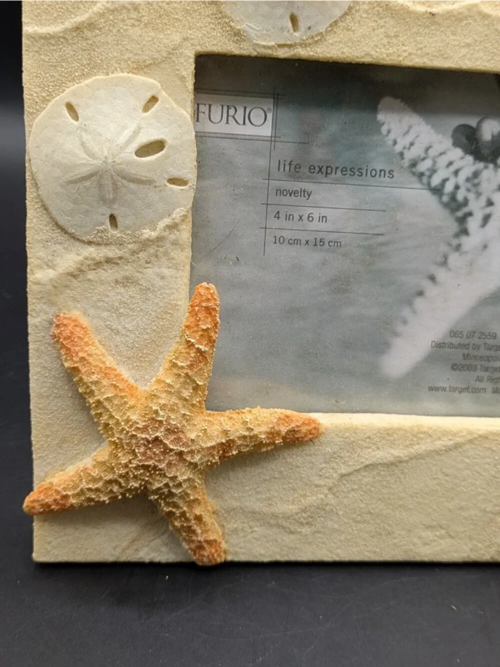 Sea Horse and Sand Dollar Sea Life Picture Frame Holds 4x6 Photo Beach Sand